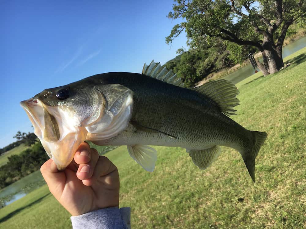 Hill Country Fishing