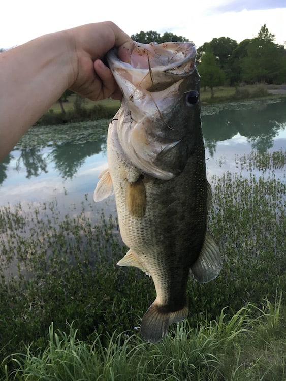 Texas Hill Country Fishing